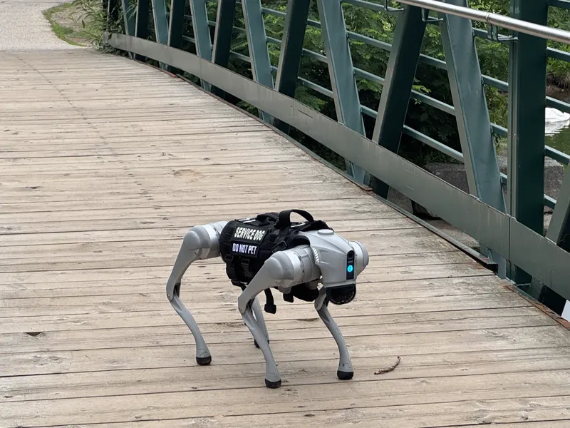 A Go2 robot dog in a black Service Dog vest on a wooden footbridge