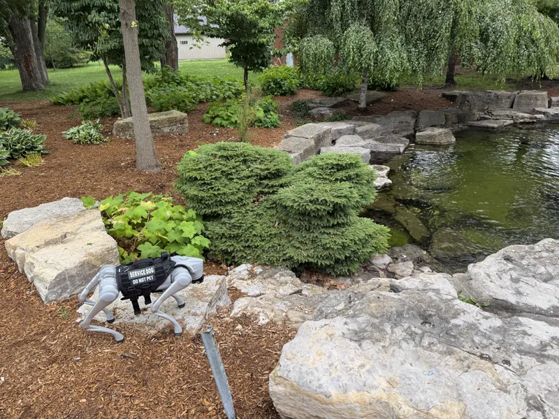 A Go2 robot dog on rocks beside a garden pond