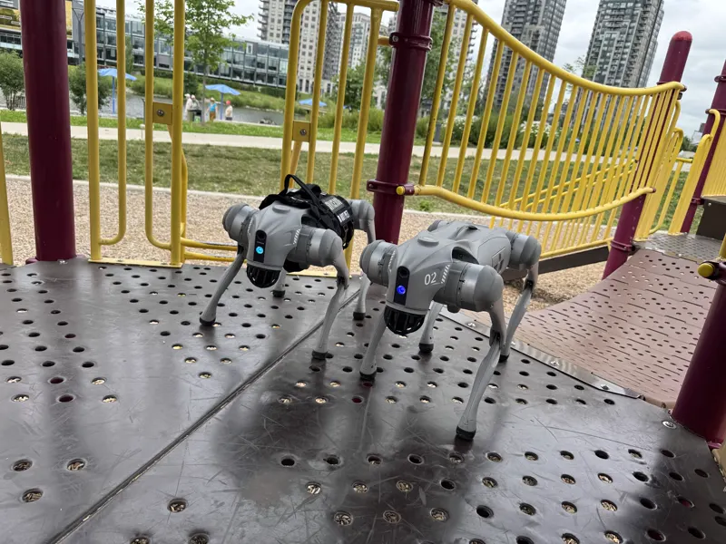 Two Go2 robot dogs on a playground deck