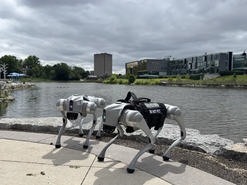 Two Go2 robot dogs side by side on a lakeside path