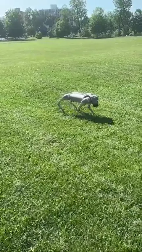Unitree Go2 Pro robot dog walking along a park path